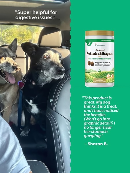 A split-screen ad featuring a testimonial from a satisfied customer on one side and a clear product shot of digestive support probiotics on the other.